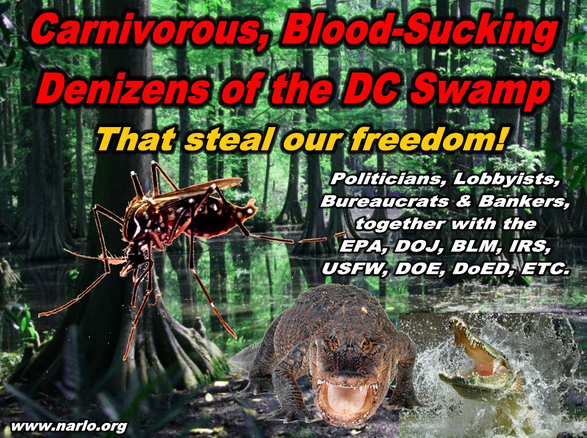 The DC Swamp=