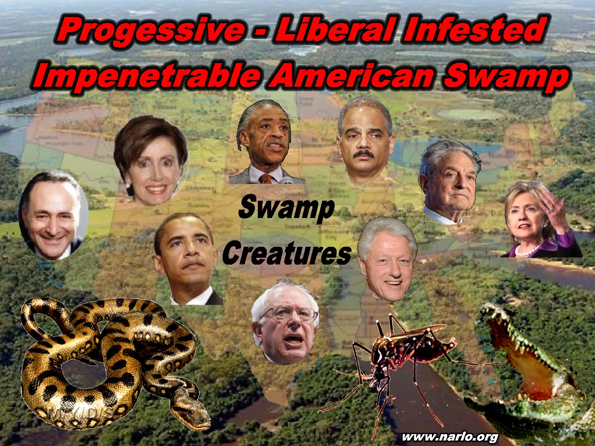 The US Swamp=